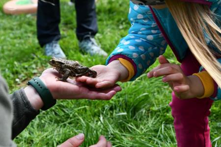 7 Družinsko žabanje